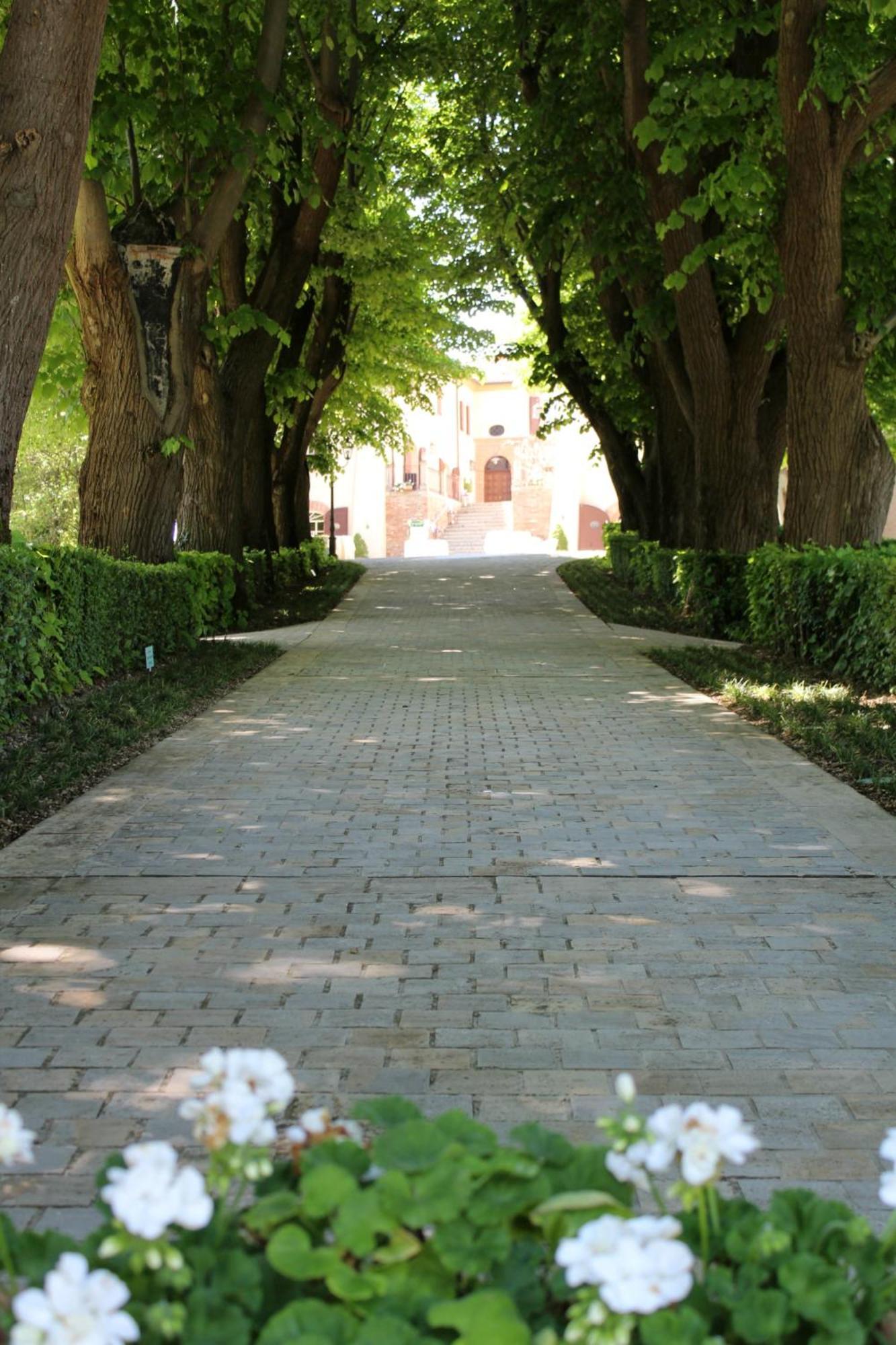 Palazzo Del Poggiano Bed & Breakfast Poggio Berni Dış mekan fotoğraf